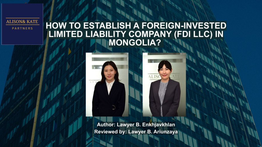 HOW TO ESTABLISH A FOREIGN-INVESTED LIMITED LIABILITY COMPANY (FDI LLC) IN MONGOLIA?
